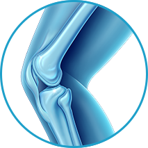 Knee Joint Products