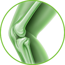 Knee Solutions