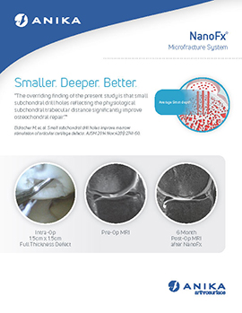 NanoFx product flyer