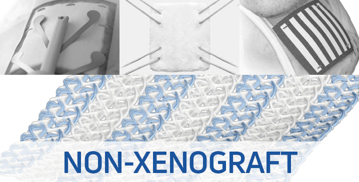 Medical stent devices shown above a patterned surface with "NON-XENOGRAFT" text below.