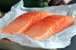Salmon