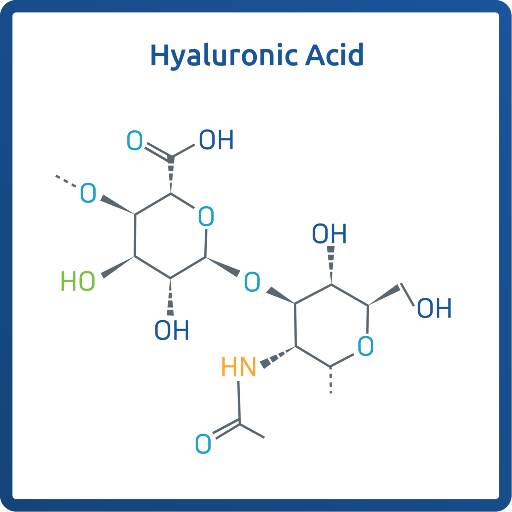 Chemical structure diagram of hyaluronic acid showing its molecular composition with labeled atoms and bonds.