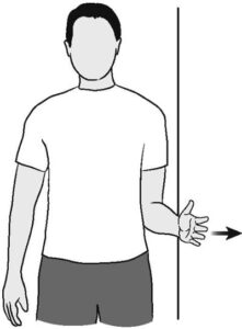 Shoulder External Rotation Shoulder External Rotation