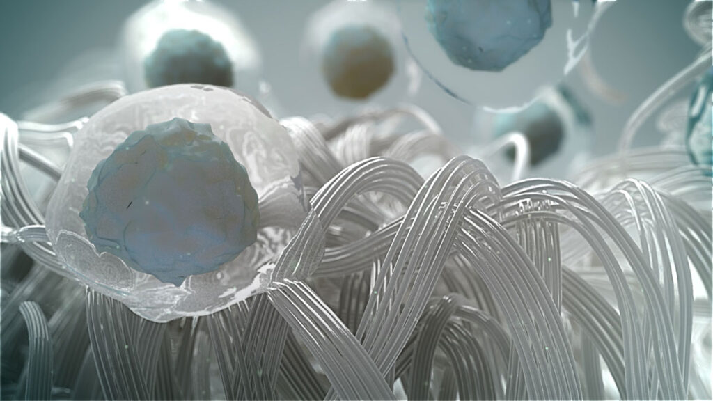 Hyalofast has two roles: