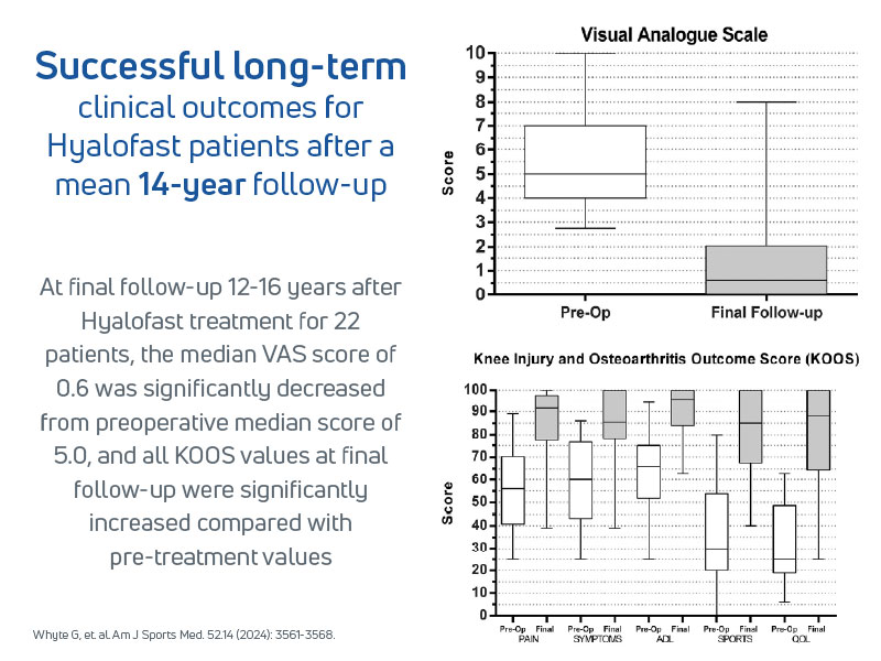 Charts showing significant improvement in pain scores and knee function for Hyalofast patients over 14-year follow-up, with VAS decreasing from 5.0 to 0.6 and KOOS scores increasing across all categories.