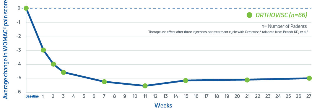 Line graph showing WOMAC pain scores decreasing from baseline (0) to approximately -5 over 27 weeks of Orthovisc treatment in 66 patients.