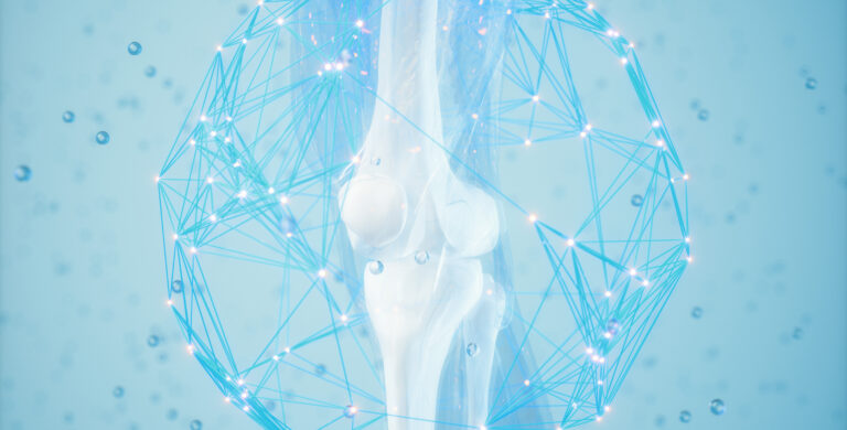 tendon tissue